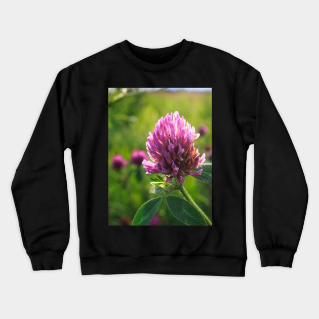 Petals in Sunlight Capture Red Clover's Elegance V1 Crewneck Sweatshirt by Family journey with God